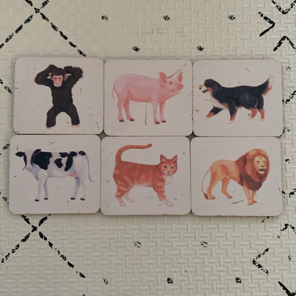 Lovevery Companion Play Kit (Months 22-24) - Montessori Animal Match
. - Picture 3 of 5